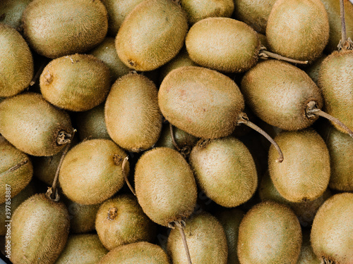 Top down view of a group of ripe kiwi kiwifruit  Actinidia deliciosa