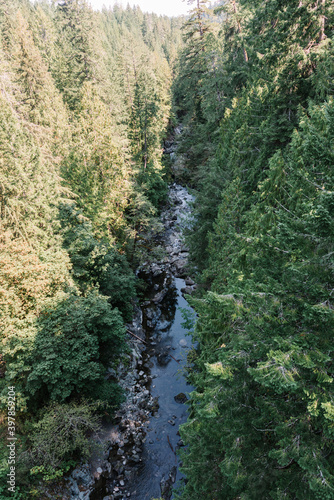 Top down view from Kinsol Tresle of the Koksilah River, Cowichan, Vancouver Island, British Columbia photo