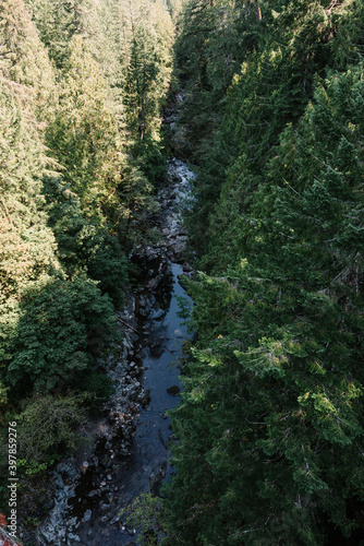Top down view from Kinsol Tresle of the Koksilah River, Cowichan, Vancouver Island, British Columbia photo