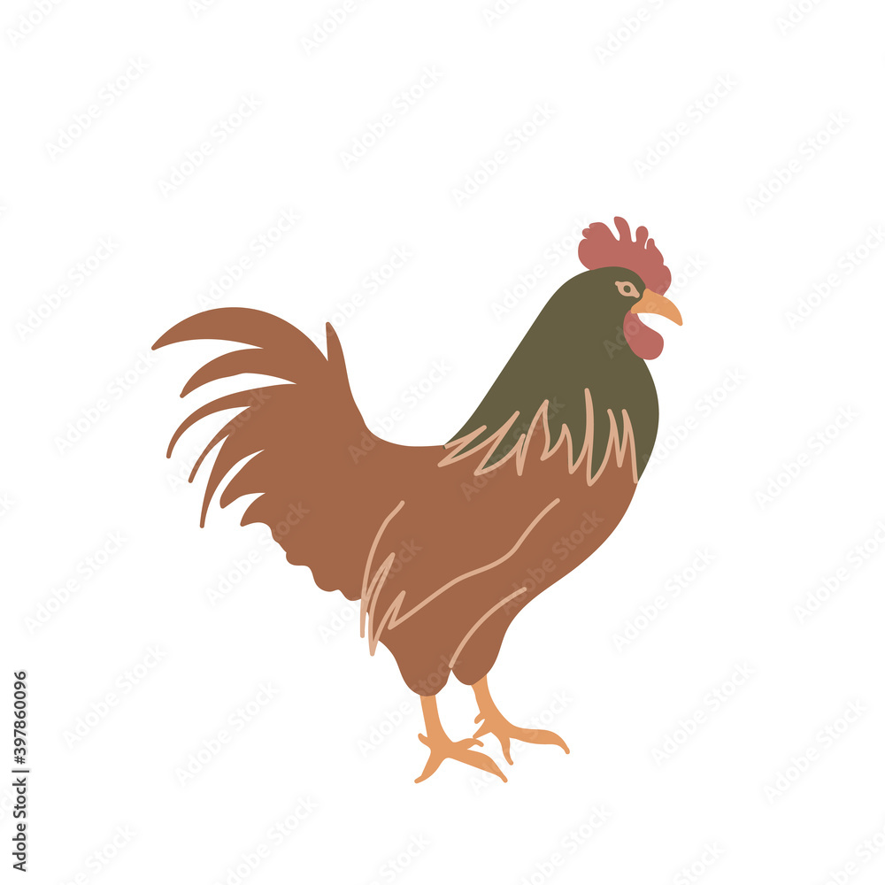 Rooster in colored flat style. For logo, icons, emblems, template, badges. Vector illustration