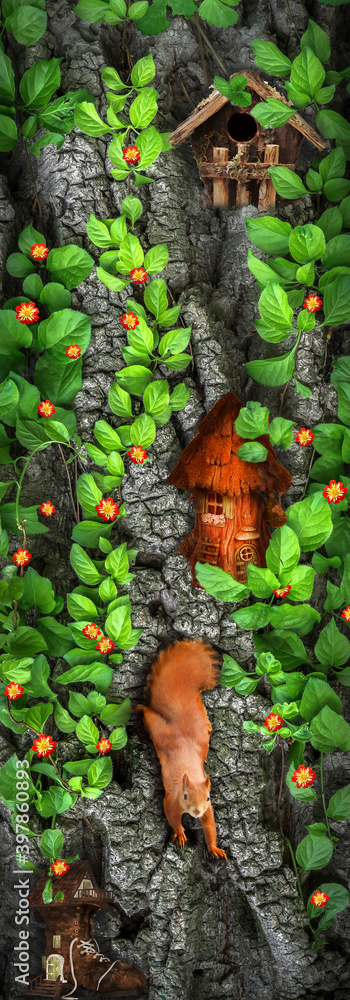 Tree in the forest squirrel houses green plants with flowers Tree in the forest squirrel houses green plants with flowers