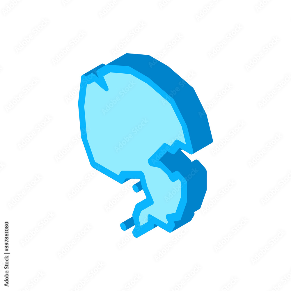 nothern pole icon vector. isometric nothern pole sign. color isolated symbol illustration nothern pole icon vector. isometric nothern pole sign. color isolated symbol illustration