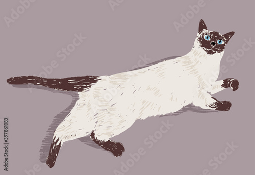 Vector illustration of lying domestic siamese cat