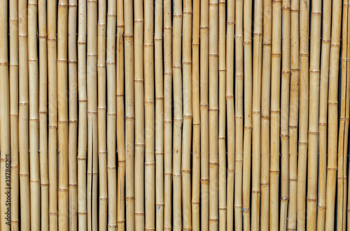 Champagne toned bamboo background.