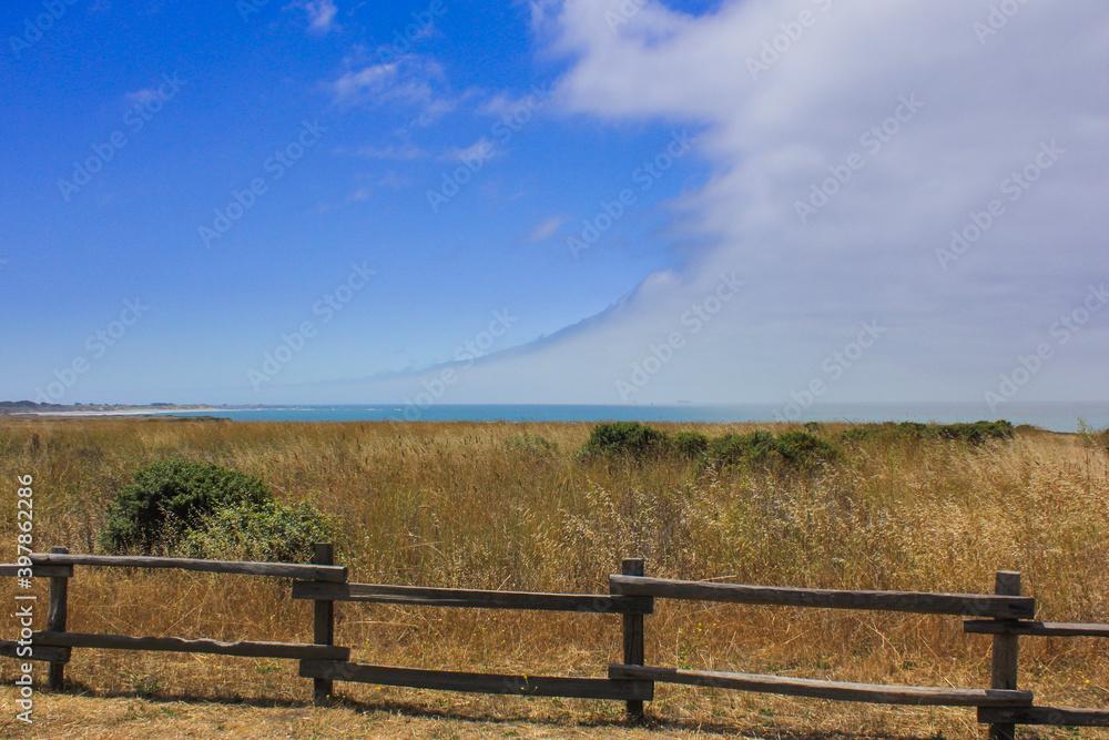 Fototapeta premium fence in the field