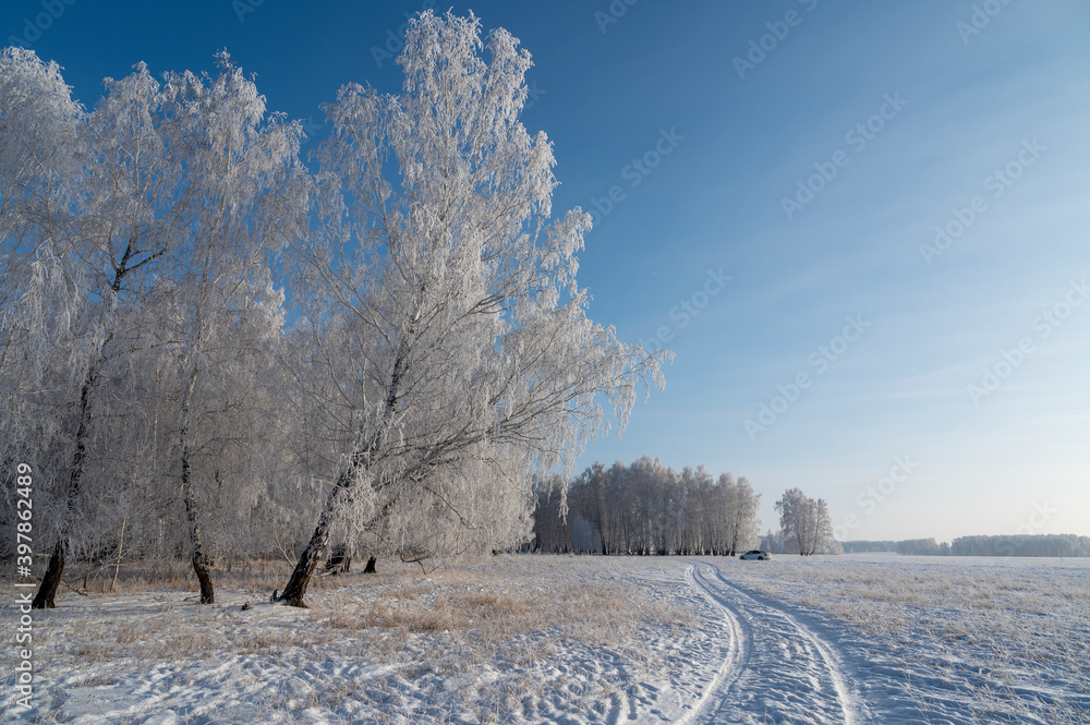 road to the winter forest in the snow road to the winter forest in the snow