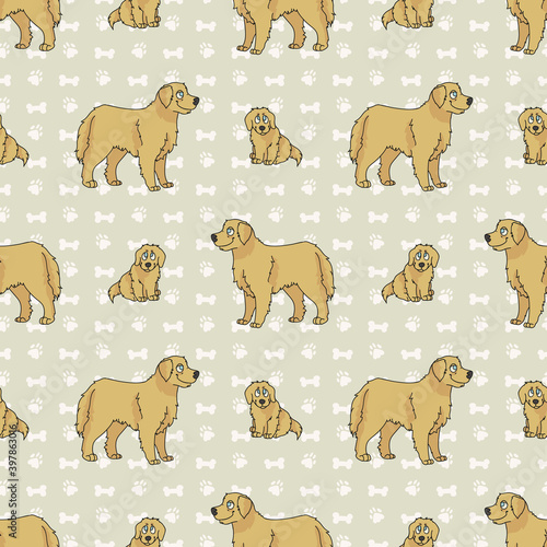 Hand drawn cute golden retriever breed dog and puppy seamless vector pattern. Purebred pedigree puppy domestic dog on paw background. Dog lover toy spaniel pet all over print. Kennel pooch. EPS 10.  photo