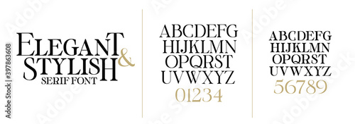 vector illustration. Stylish elegant vector composite font. set of letters english