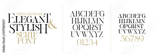 vector illustration. Stylish elegant vector composite font. set of letters english alphabet. uppercase letters, lowercase letters and numbers