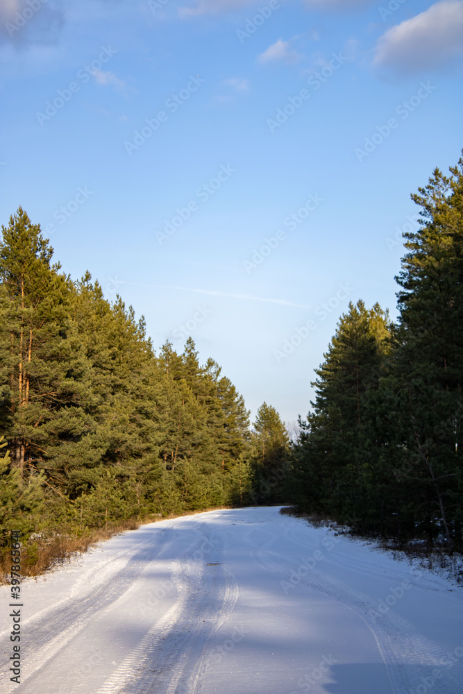 Winter. Snow-covered road in a coniferous forest on a sunny day