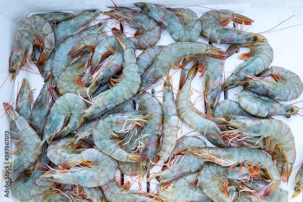 Top view fresh white shrimp for sale in seafood market. Closeup Fresh Sea Food, Fresh shrimp in the street market in Montenegro Top view fresh white shrimp for sale in seafood market. Closeup Fresh Sea Food, Fresh shrimp in the street market in Montenegro
