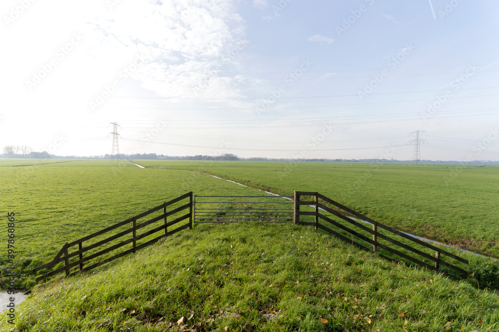 An entrance to a meadow An entrance to a meadow