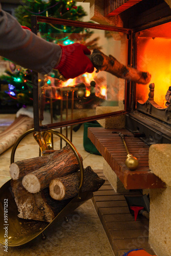 Fireplace and Christmas tree