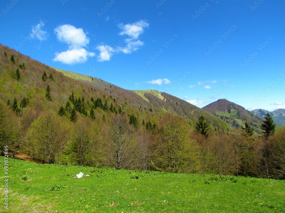 View of hills bellow Porezen mountain, Gorenjska, Slovenia covered in forest