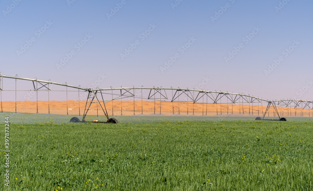 Foto de A circular irrigation system in Saudi Arabia's desert, using