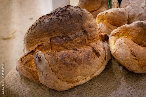 Obraz na plátně The delicious Altamura bread called u sckuanète made of durum wheat flour