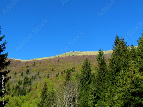 View of the slopes of mountain Porezen in Slovenia in spring