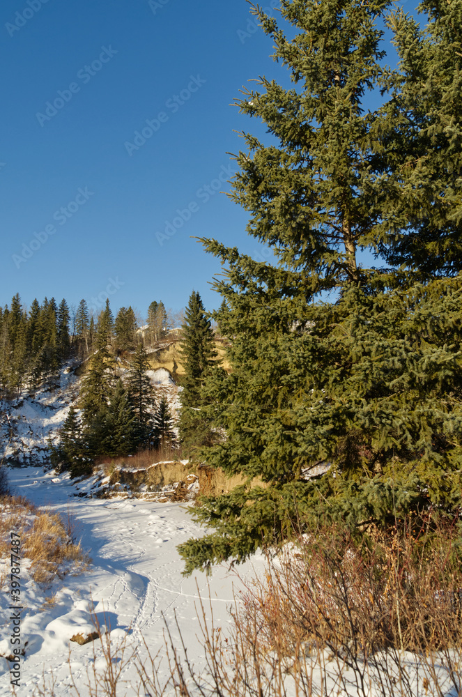 A Frozen Creek within Whitemud Park A Frozen Creek within Whitemud Park