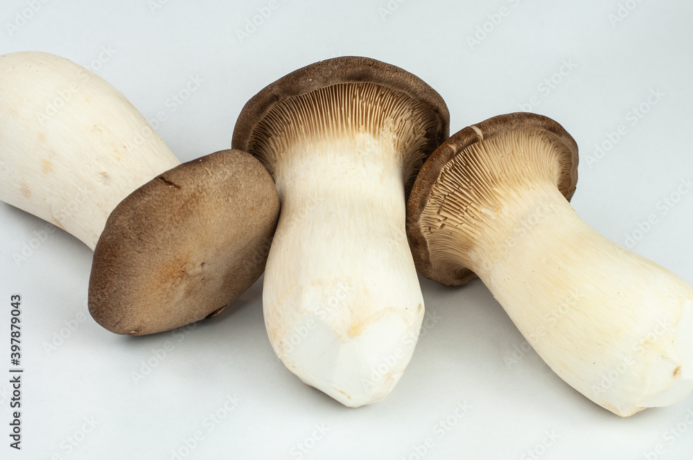 a group of raw king oyster mushrooms a group of raw king oyster mushrooms