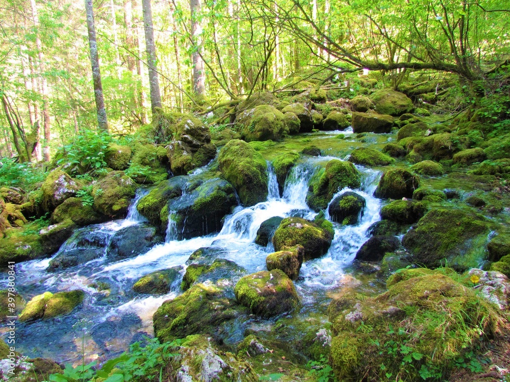 Water spring with water flowing over moss covered rocks in Slovenia