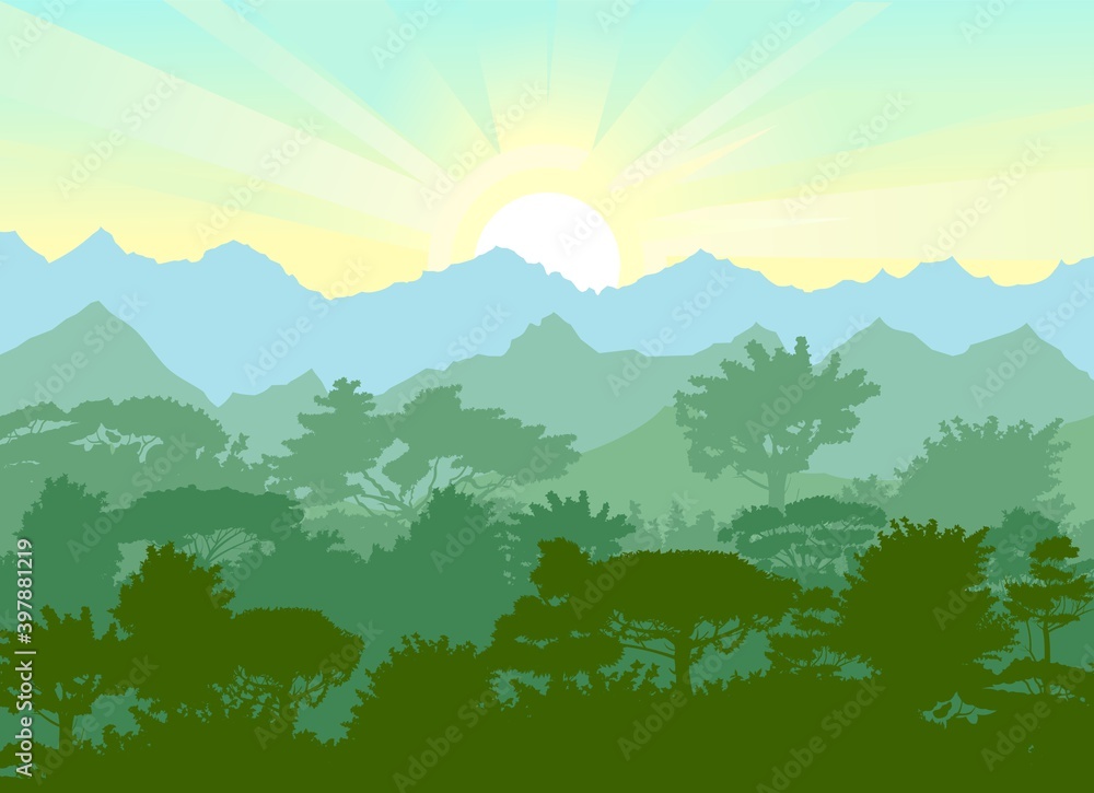 Deciduous forest. Silhouette. Mature, spreading trees. Thick thickets. Hills overgrown with plants. On the horizon there are mountains and ebo with the sunrise. Morning. Vector
