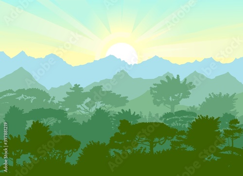 Deciduous forest. Silhouette. Mature  spreading trees. Thick thickets. Hills overgrown with plants. On the horizon there are mountains and ebo with the sunrise. Morning. Vector