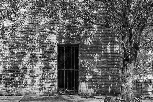 Black and white of rick Building, door and tree