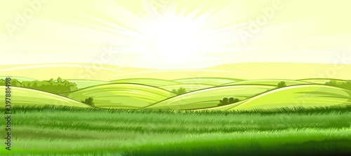Hills and meadows. Haymaking pastures. Agricultural farm land. Green grass. Grassland for farming. Beautiful countryside landscape. Vector