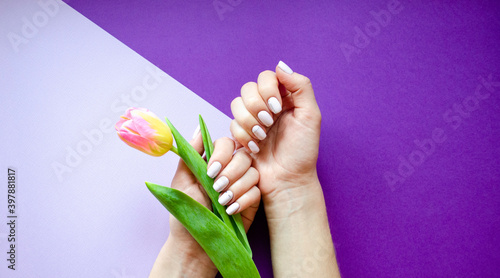 Female manicure on a bright background. Purple