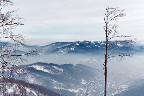 Fototapeta Naklejka Na Ścianę i Meble -  Winter panorama in the mountains after the first snowfall, view from the top. Valley covered with fog. Beskidy Mountains, Poland
