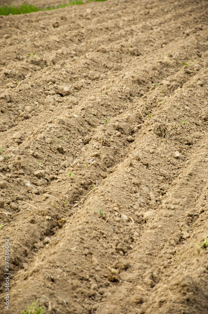 Texture of a plowed field Texture of a plowed field