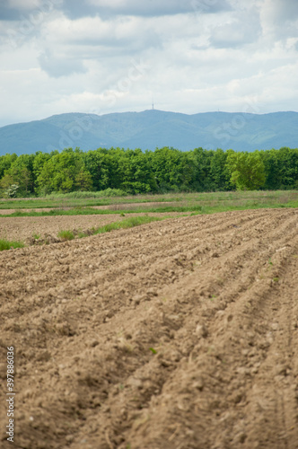 Landscape view of a plowed soil with mountain in the background