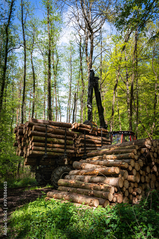 Borkenkäfer - Waldsterben, Vorwarder räumt gefälltes Fichtenholz aus dem Wald.  Forsttechnisches Symbolfoto.