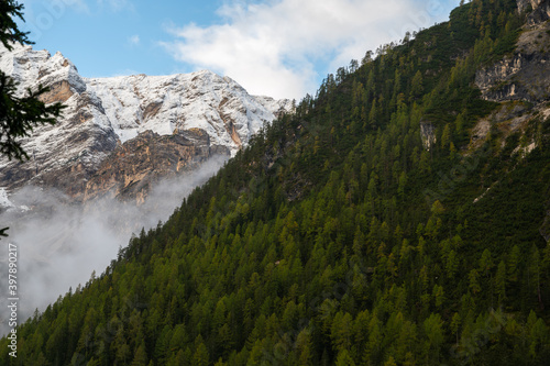 The Seekofel mointain coverd by snow with a mountain with the forest in front of it.