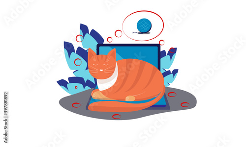 Cat sleeping on laptop and dreaming of  a clew