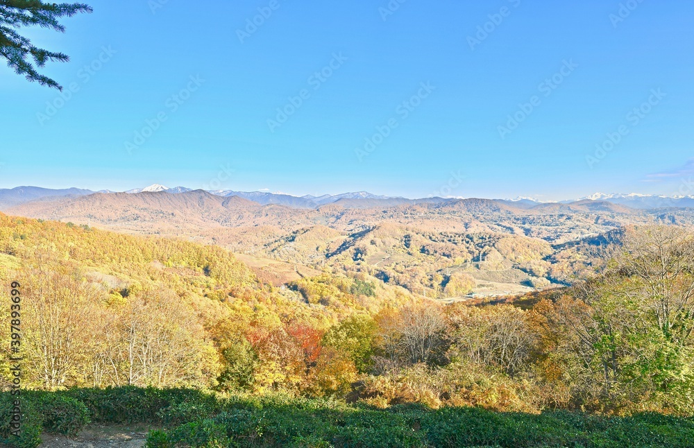 Mountain panorama with colorful tree crowns, a village in the distance and a tea plantation in the foreground