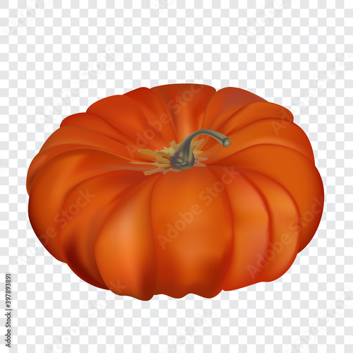 Realistic vector pumpkin isolated on transparency grid background