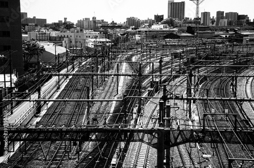 Canvas Print Train lines