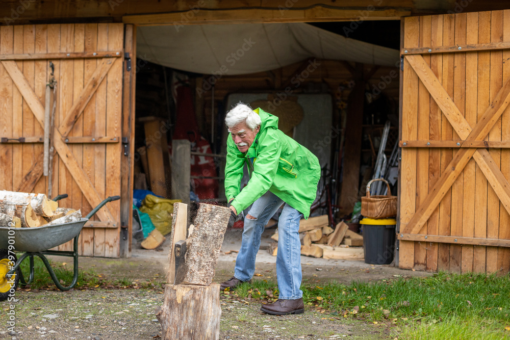 Retired senior man holding the heavy axe. Axe in lumberjack hands chopping or cutting wood trunks. Retired senior man holding the heavy axe. Axe in lumberjack hands chopping or cutting wood trunks.