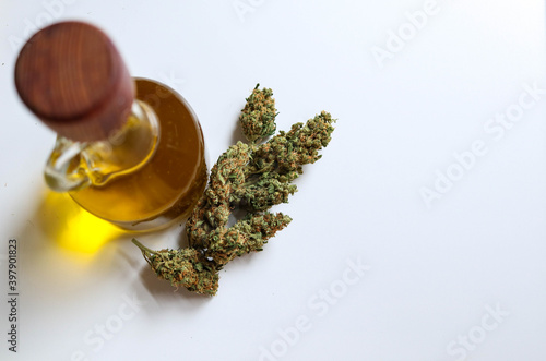 Jar with hemp oil, bud on white background, top view
Medical Cannabis concept