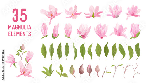 Magnolia flower, blossom, leaves, bouquet vector set. Template design pastel floral elements for wedding