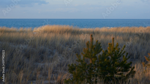 Peaceful  nostalgic sea  seaside landscape  facilitating relaxation and tranquility.