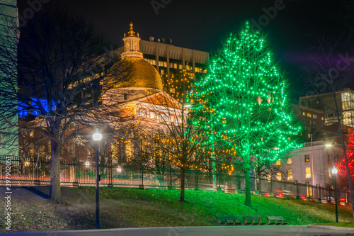 Green holiday lights on a tree in Boston Common photo