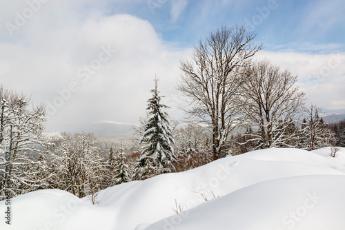 Zimowy krajobraz