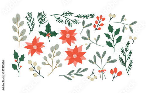 Vector illustration of winter plants: holly berry, mistletoe, poinsettias, pine, cedar, blue spruce. Hand-drawn Christmas plants set in bright colors. Suitable for postcards, invitations, web design.
