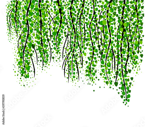 Vector season background with tree branches, green leaves, decorative Birch branches. Vector illustration
