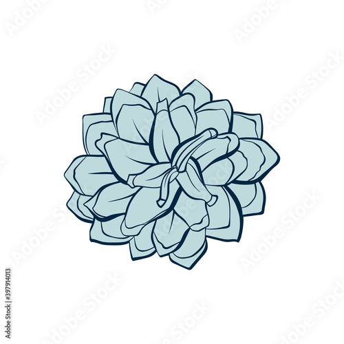 Fir cones set, pinecone spruces, vector line art decoration element for patterns and backgrounds. Fire cone or pinecone isolated design, modern trendy pastel green Christmas decor