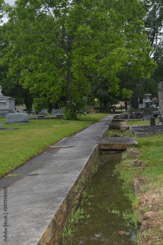 walk in the park, path in cemetery