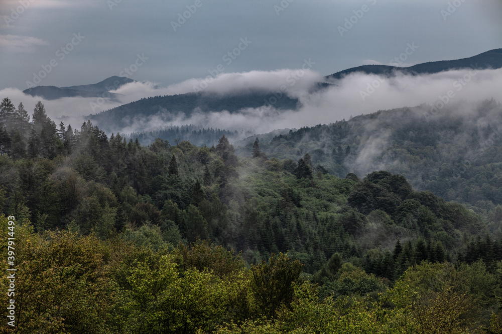 Mglisty krajobraz górski po deszczu. Zalesione szczyty pośród chmur, Bieszczady, Polska