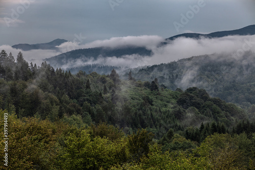 Mglisty krajobraz górski po deszczu. Zalesione szczyty pośród chmur, Bieszczady, Polska